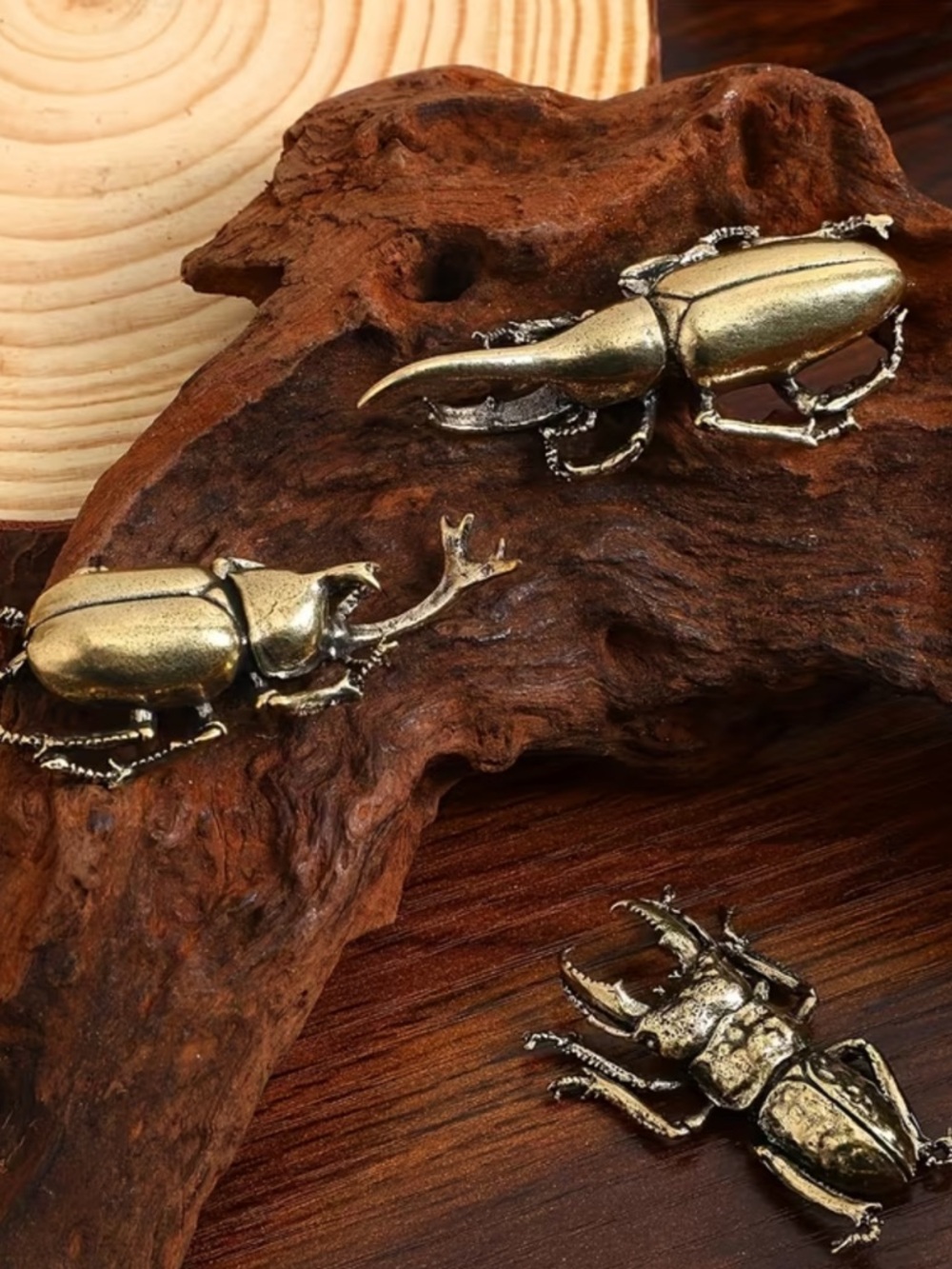Beetles beetles beetles 🪲